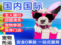 芜湖宣州机场邮寄国际宠物托运 【国